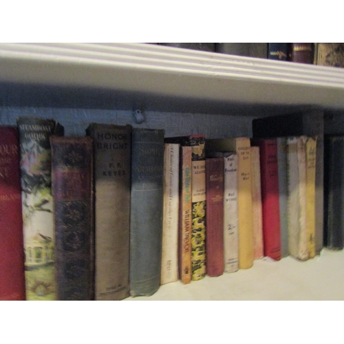 117 - Two Shelves of Various Antiquarian Volumes As Photographed