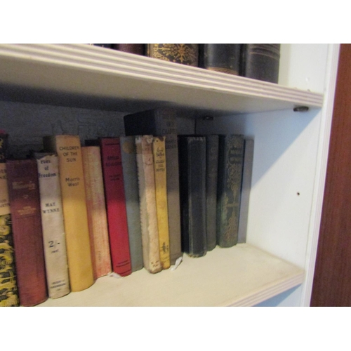 117 - Two Shelves of Various Antiquarian Volumes As Photographed