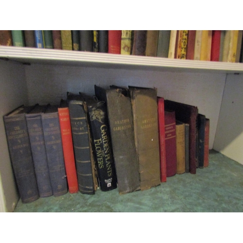 117 - Two Shelves of Various Antiquarian Volumes As Photographed