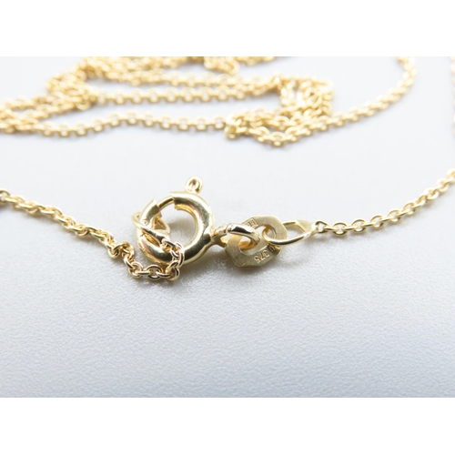 1291 - 10 Carat Yellow Gold Mounted Pendant Necklace Mounted on 9 Carat Gold Chain