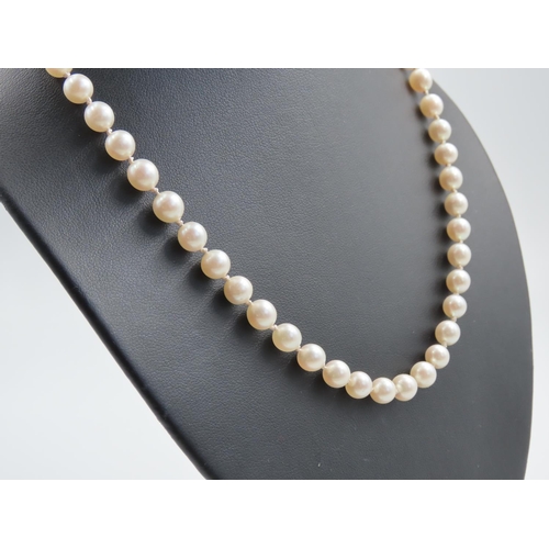 1316 - Single Strand Pearl Necklace with 14 Carat Gold Clasp Inset with Ruby Diamond and Two Sapphires Pear... 