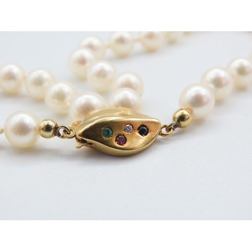 1316 - Single Strand Pearl Necklace with 14 Carat Gold Clasp Inset with Ruby Diamond and Two Sapphires Pear... 