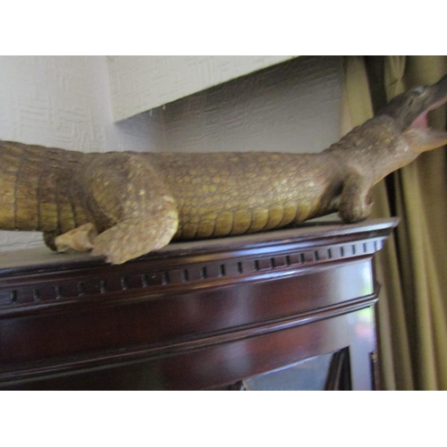 82 - Stuffed Alligator Approximately 2ft Wide