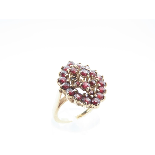 1 - Garnet Set Ladies Cluster Ring Mounted on 9 Carat Yellow Gold Band Ring Size M and a Half