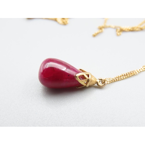 160 - 9 Carat Yellow Gold Set Ruby Pendant on 9 Carat Yellow Gold Chain 44cm Long