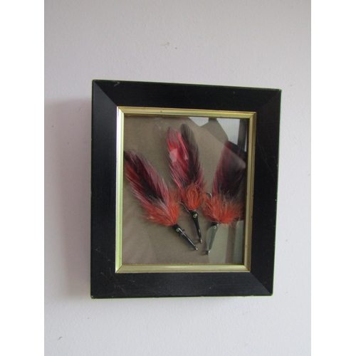 1741 - Three Fishing Flies Black Death Framed Approximately 5 Inches High x 4 Inches Wide