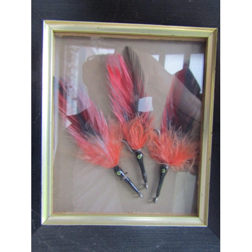 1741 - Three Fishing Flies Black Death Framed Approximately 5 Inches High x 4 Inches Wide