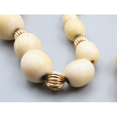 1780 - Two Carved Bead Necklaces with Possible Gold Spacers to One Graduated Form