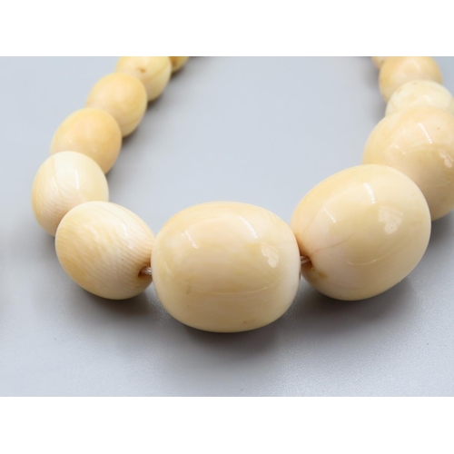 1780 - Two Carved Bead Necklaces with Possible Gold Spacers to One Graduated Form