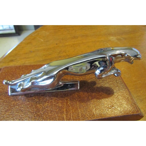 1787 - Jaguar MKII Bonnet Mascot of Leaping Jaguar Chrome Plated Mounted opn Rectangular Oak Stand