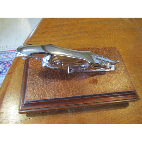 1787 - Jaguar MKII Bonnet Mascot of Leaping Jaguar Chrome Plated Mounted opn Rectangular Oak Stand