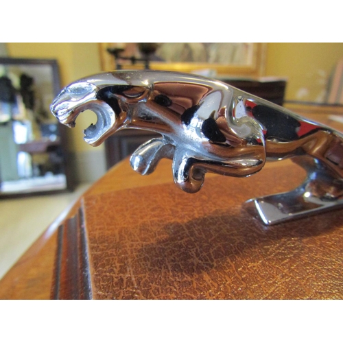 1787 - Jaguar MKII Bonnet Mascot of Leaping Jaguar Chrome Plated Mounted opn Rectangular Oak Stand