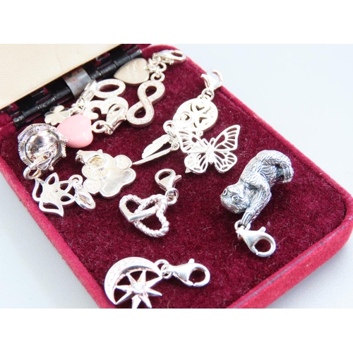 239 - Eleven Silver Bracelet Charms