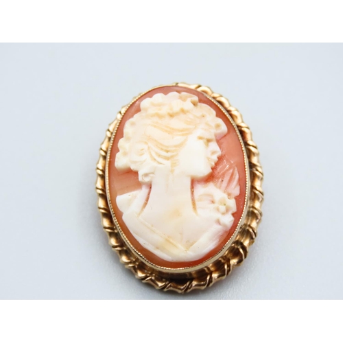 290 - Cameo Brooch Oval Form Classical Maiden Side Profile Mounted on 9 Carat Yellow Gold Setting, Cameo 3... 