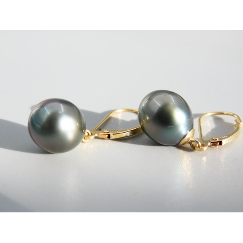 379 - Pair of Tahitian Pearl Set 18 Carat Yellow Gold Earrings Each 3cm Drop