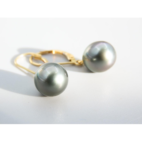 379 - Pair of Tahitian Pearl Set 18 Carat Yellow Gold Earrings Each 3cm Drop