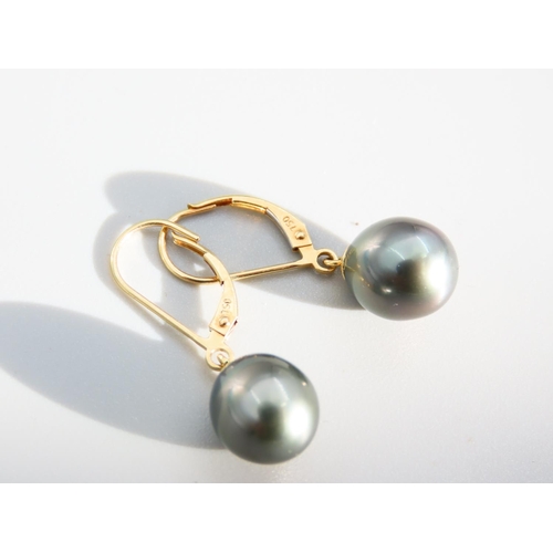 379 - Pair of Tahitian Pearl Set 18 Carat Yellow Gold Earrings Each 3cm Drop