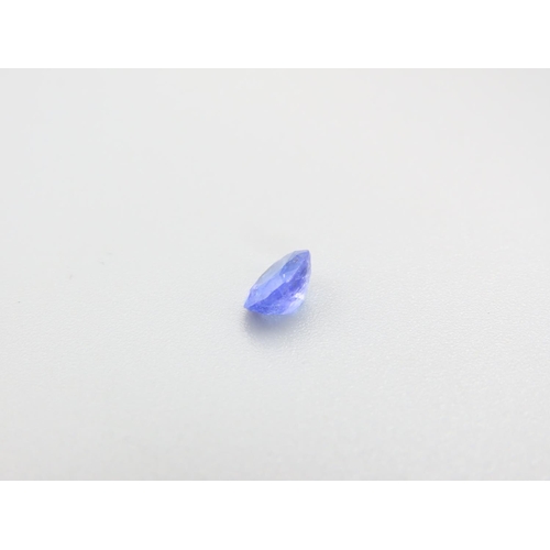 469 - Tanzanite Gemstone Oval Cut .85 Carat Loose Incapsulated within Protective Case