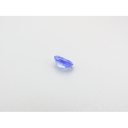 469 - Tanzanite Gemstone Oval Cut .85 Carat Loose Incapsulated within Protective Case