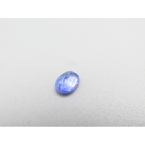 469 - Tanzanite Gemstone Oval Cut .85 Carat Loose Incapsulated within Protective Case