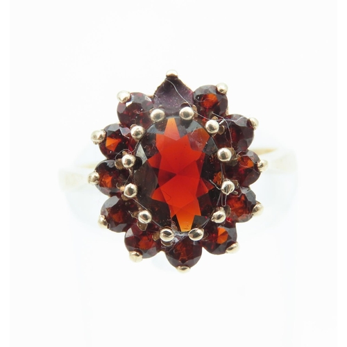 1276 - Red Garnet Cluster Ring Mounted on 9 Carat Yellow Gold Ring Size K