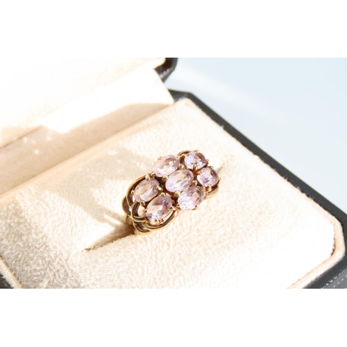 1321 - Pale Amethyst Eight Stone Ladies Cluster Ring Mounted on 9 Carat Yellow Gold Band Ring Size O