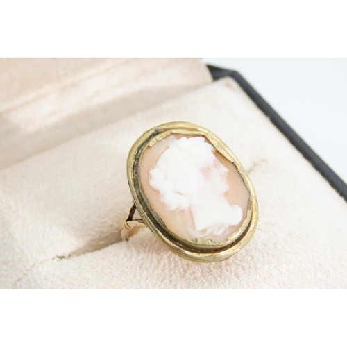 1343 - 9 Carat Yellow Gold Set Cameo Ring Size N