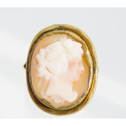 1343 - 9 Carat Yellow Gold Set Cameo Ring Size N