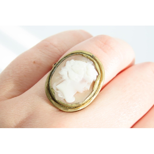 1343 - 9 Carat Yellow Gold Set Cameo Ring Size N