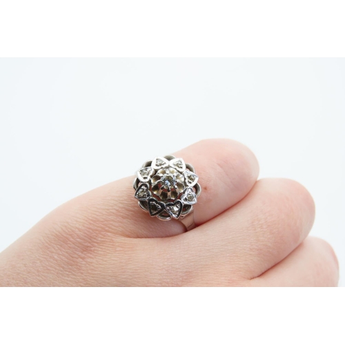 1441 - Diamond Cluster Ring Mounted on 18 Carat Gold Band