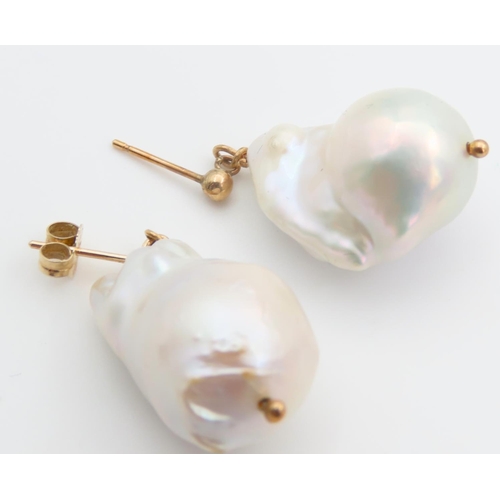 1457 - Pair of Baroque Pearl Earrings Good Size and Form Mounted 9 Carat Yellow Gold Each 2cm High