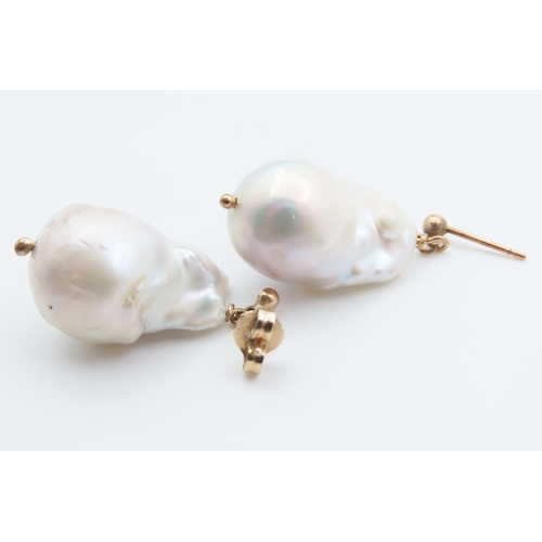 1457 - Pair of Baroque Pearl Earrings Good Size and Form Mounted 9 Carat Yellow Gold Each 2cm High