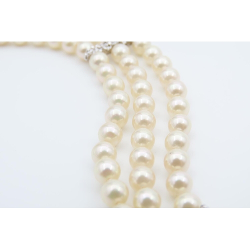 1463 - Silver Mounted Three Strand Pearl Chocker Form Necklace