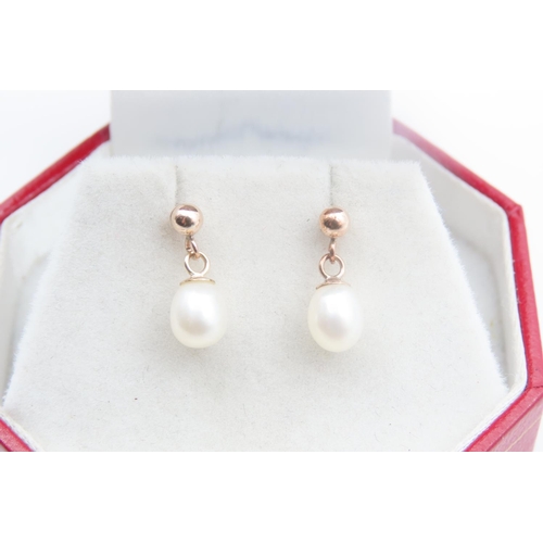 1481 - Pair of Pearl Drop Form 9 Carat Yellow Gold Earrings Each 1cm High