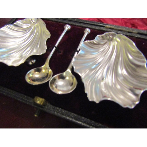 165 - Pair of Silver Shell Form Table Salts Hallmarked 1895 with Original Silver Spoons Contained within O... 