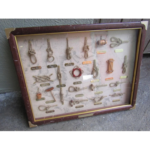 256 - Various Sailors Knots Contained within Framed Glazed Case Approximately 18 Inches High x 22 Inches W... 