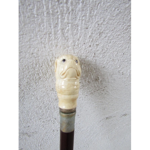 326 - Carved Dog Head Motif Walking Stick Full Size