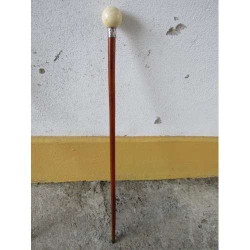 329 - Globe Form Carved Handle Walking Stick Full Size