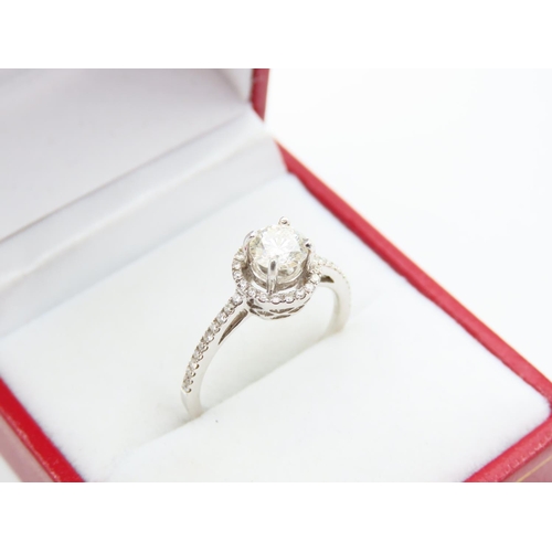 101 - Diamond Solitaire Halo Set 18 Carat White Gold Ring Further Decoration to Shoulders Ring Size M