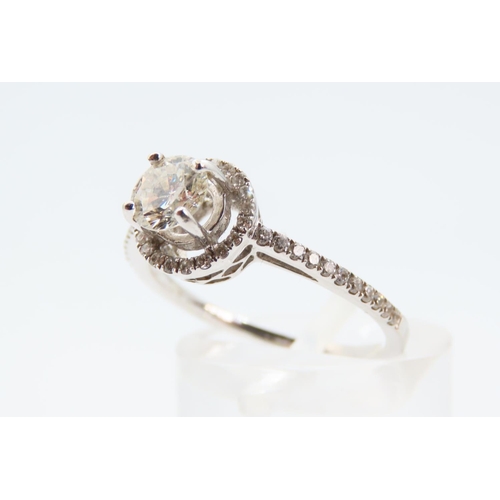 101 - Diamond Solitaire Halo Set 18 Carat White Gold Ring Further Decoration to Shoulders Ring Size M