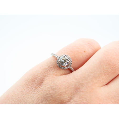 101 - Diamond Solitaire Halo Set 18 Carat White Gold Ring Further Decoration to Shoulders Ring Size M