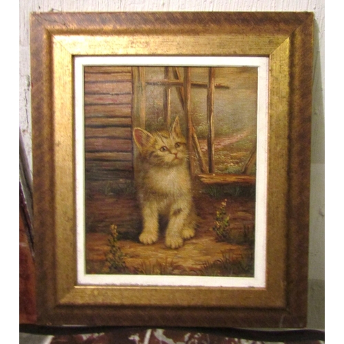 1026 - Victorian School Seated Kitten Oil on Canvas Approximately 8 Inches Wide x 9 Inches High Contained w... 