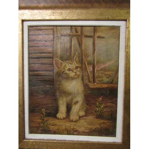 1026 - Victorian School Seated Kitten Oil on Canvas Approximately 8 Inches Wide x 9 Inches High Contained w... 