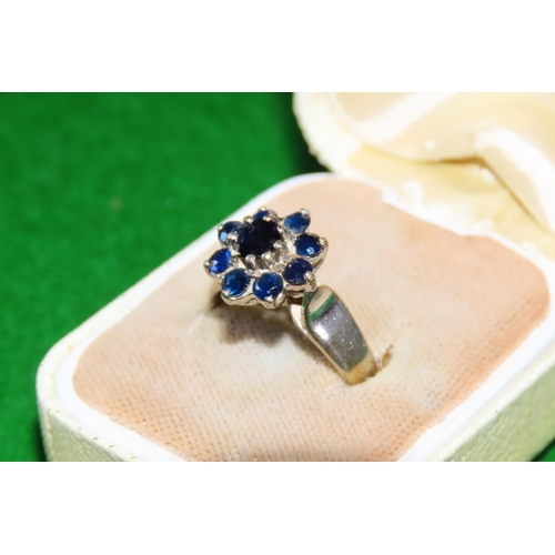 1057 - Sapphire Cluster Ring Mounted on 9 Carat White Gold Band Ring Size K