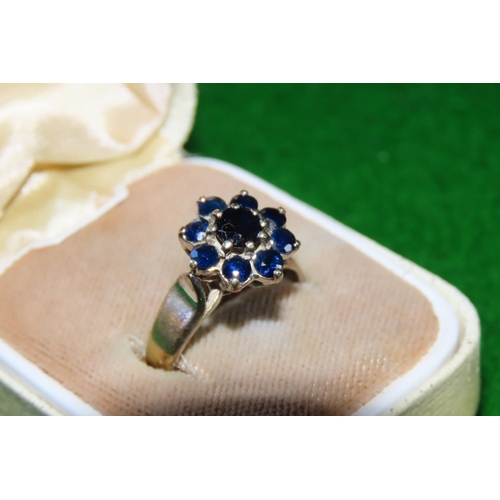 1057 - Sapphire Cluster Ring Mounted on 9 Carat White Gold Band Ring Size K