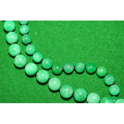 1073 - Carved Jade Twin Strand Bead Necklace of Attractive Colour and Hue with 14 Carat Yellow Gold Clasp S... 