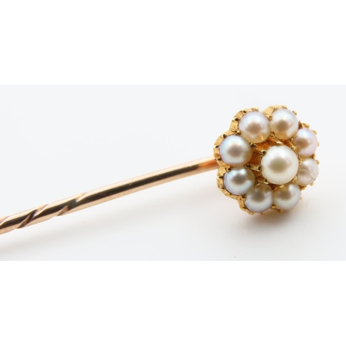 123 - Seed Pearl Set 9 Carat Yellow Gold Stick Pin 6cm High