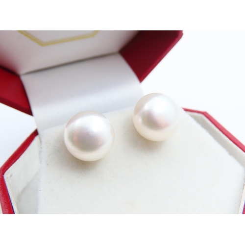 30 - Pair of 9 Carat Yellow Gold Pearl Set Ladies Earrings