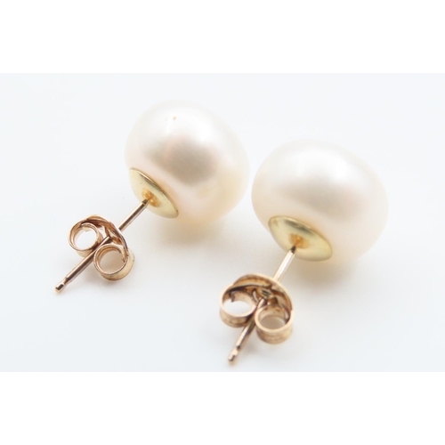 30 - Pair of 9 Carat Yellow Gold Pearl Set Ladies Earrings