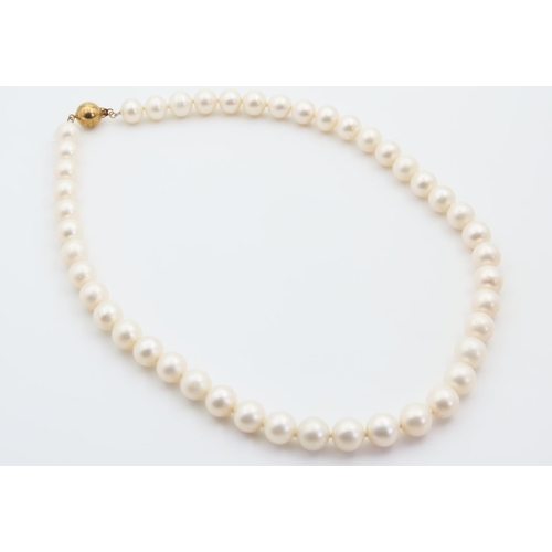 95 - Pearl Single Strand Necklace 14 Carat Yellow Gold Clasp 40cm Long Pearls of Attractive Cream Foam Hu... 